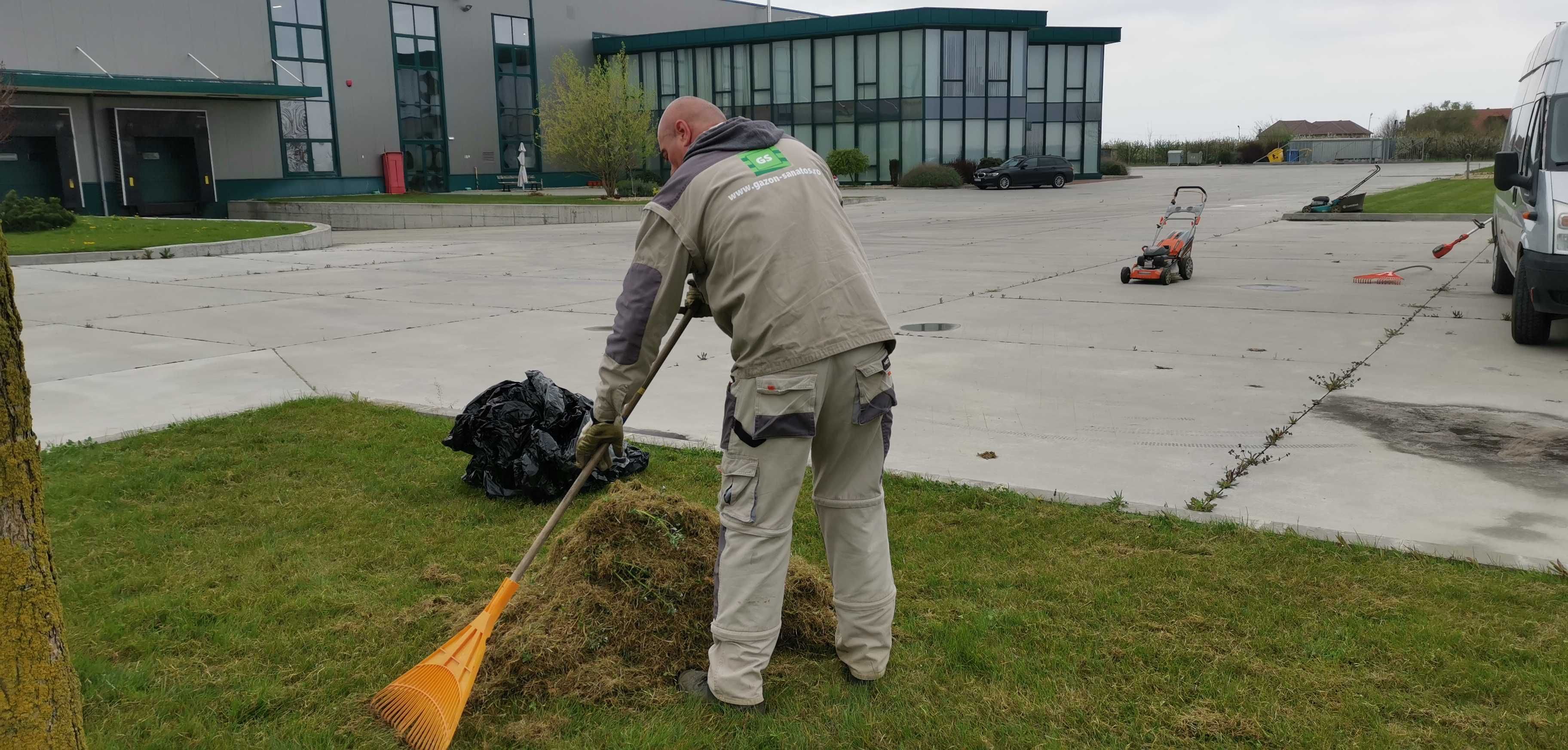 FIRMA* Scarificam si Fertilizam Gazon, scarificare si suprainsamantare