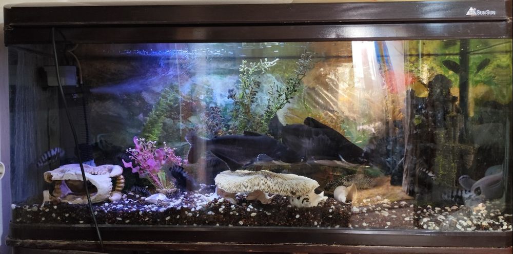 Продам аквариум с рыбками