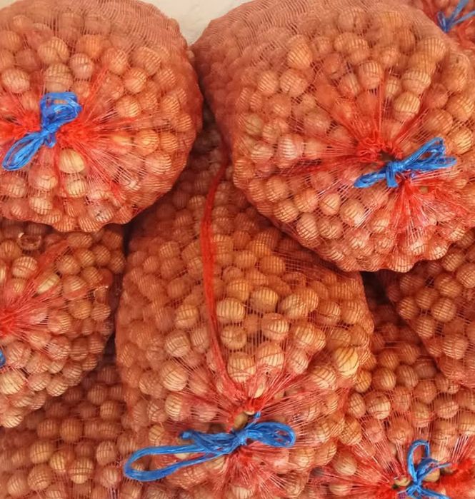 Bună ziua avem nuci de vânzare de anul acesta 6 Lei kilogramul