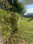 Apartament de inchiriat la casa in Bunloc