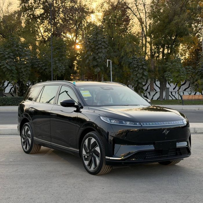 Dongfeng 008 siz xoxlagan rangda