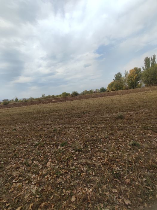 Продам землю 4 га выкупленая