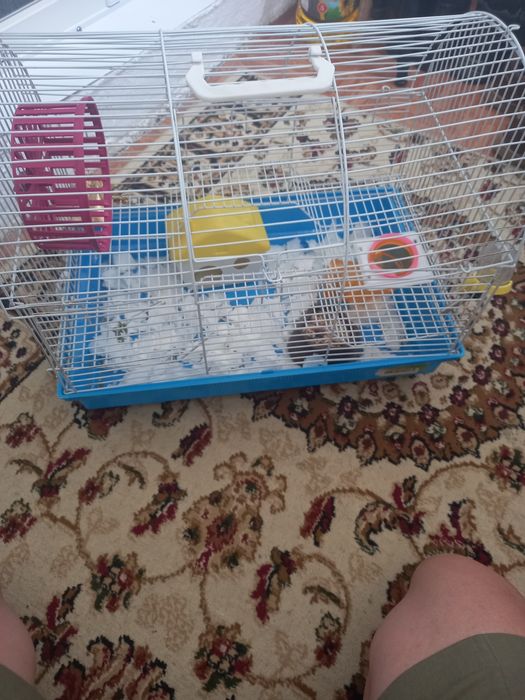 Клетка для хомяка