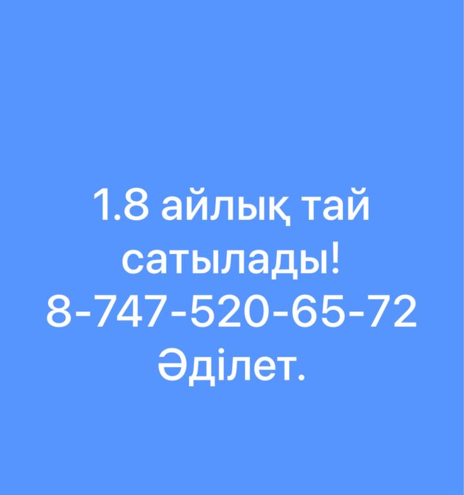 Продам кобылу 1,8 возраст