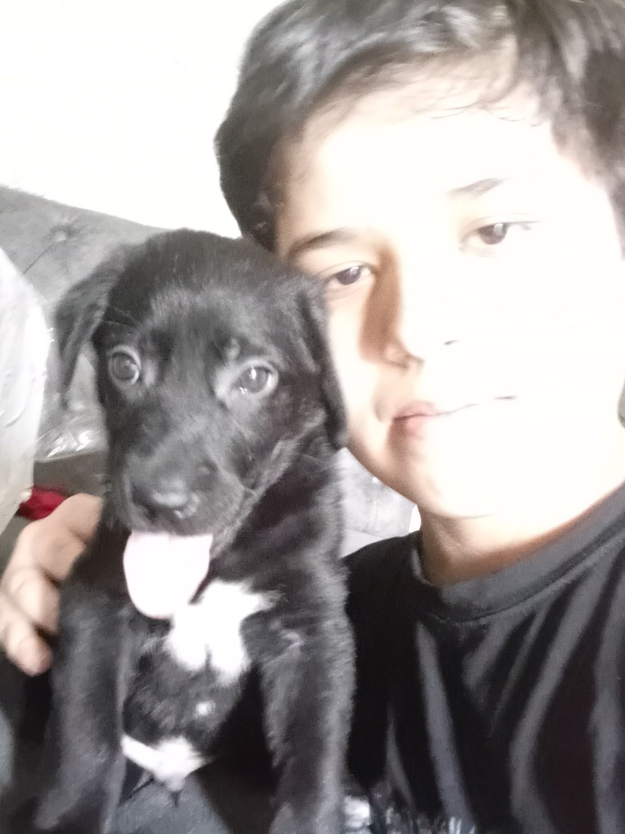 Lablador redriver  2oylik