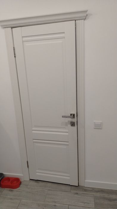 Установка межкомнатных дверей