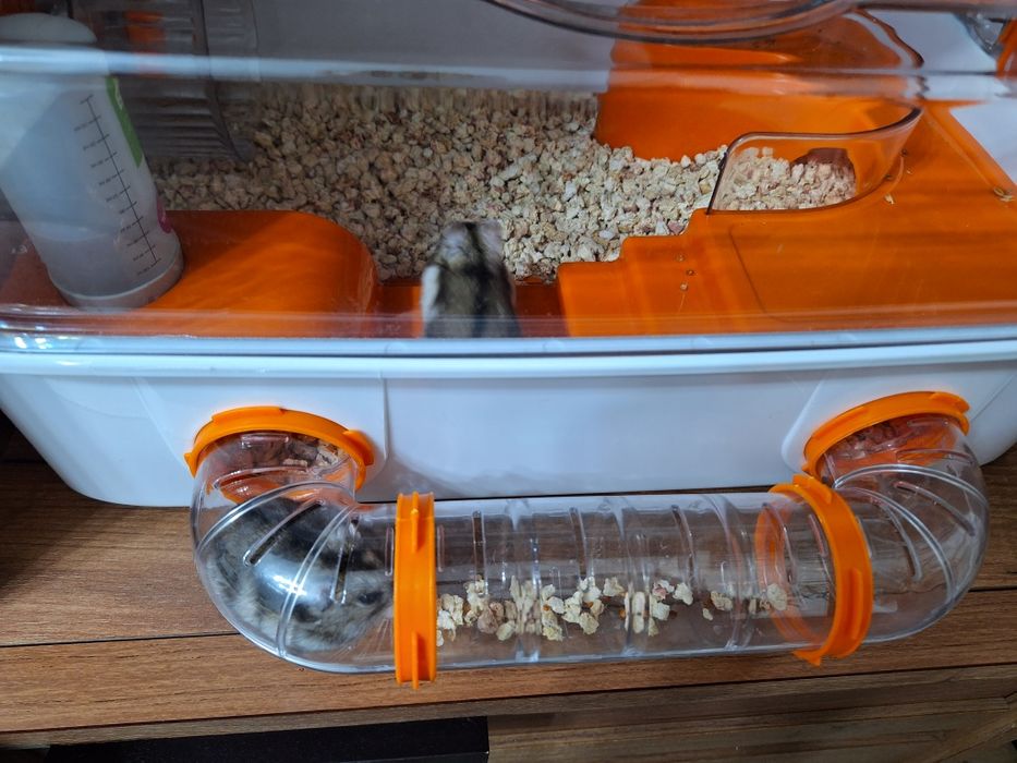 Клетка для мелких грызунов