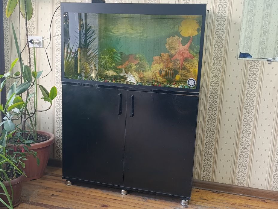 Akvarium sotiladi holati alo