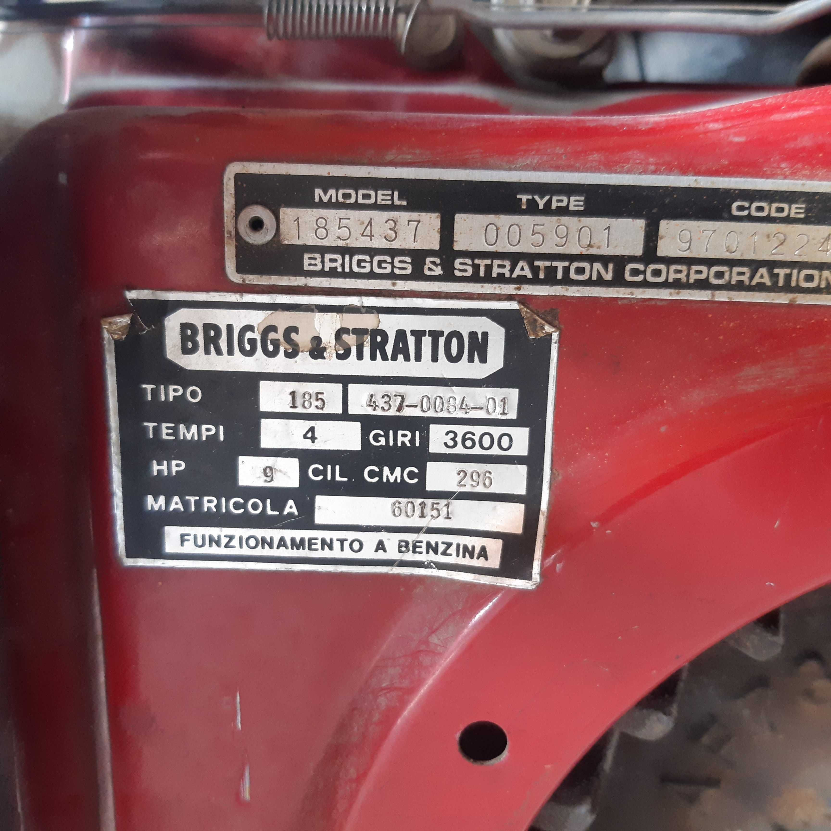 motor termic BRIGGS&STRATTON