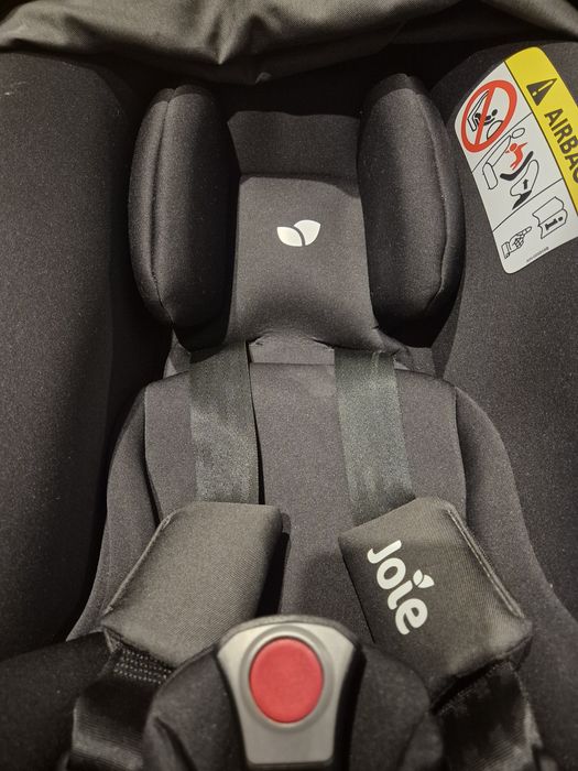 Scoică Joie i snug 2