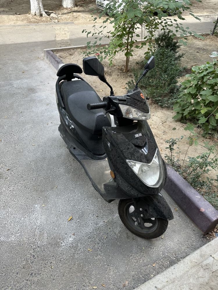 Skuter  xolati zur