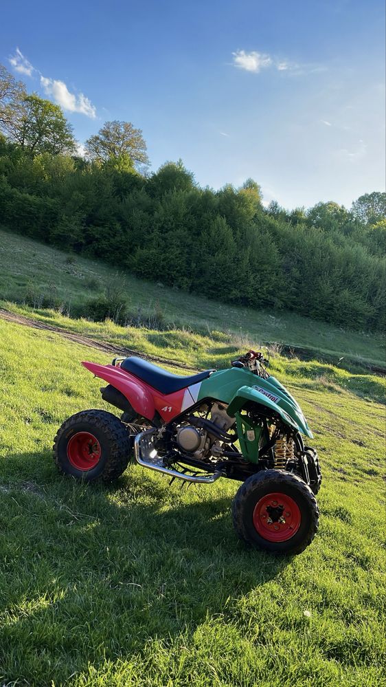 Атв Dinli QUADZILLA 450 кубика Castrol Edition