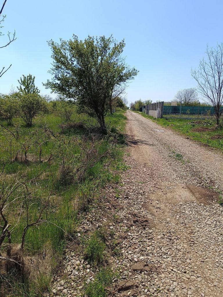 Teren intravilan Dascălu