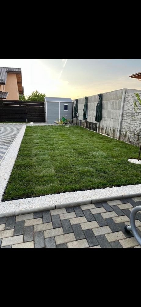 Vand si montez gazon rulou si plante ornamentale