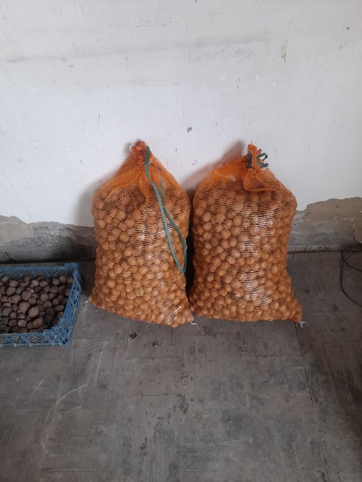 Продам   Грецкие орехи