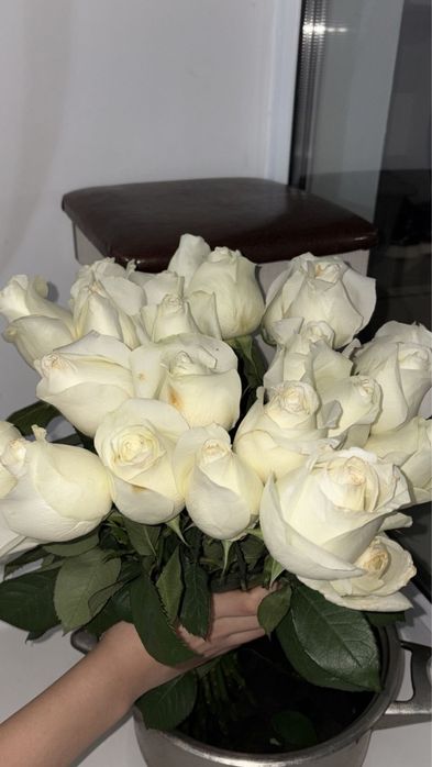25 штук ақ роза қазір келген