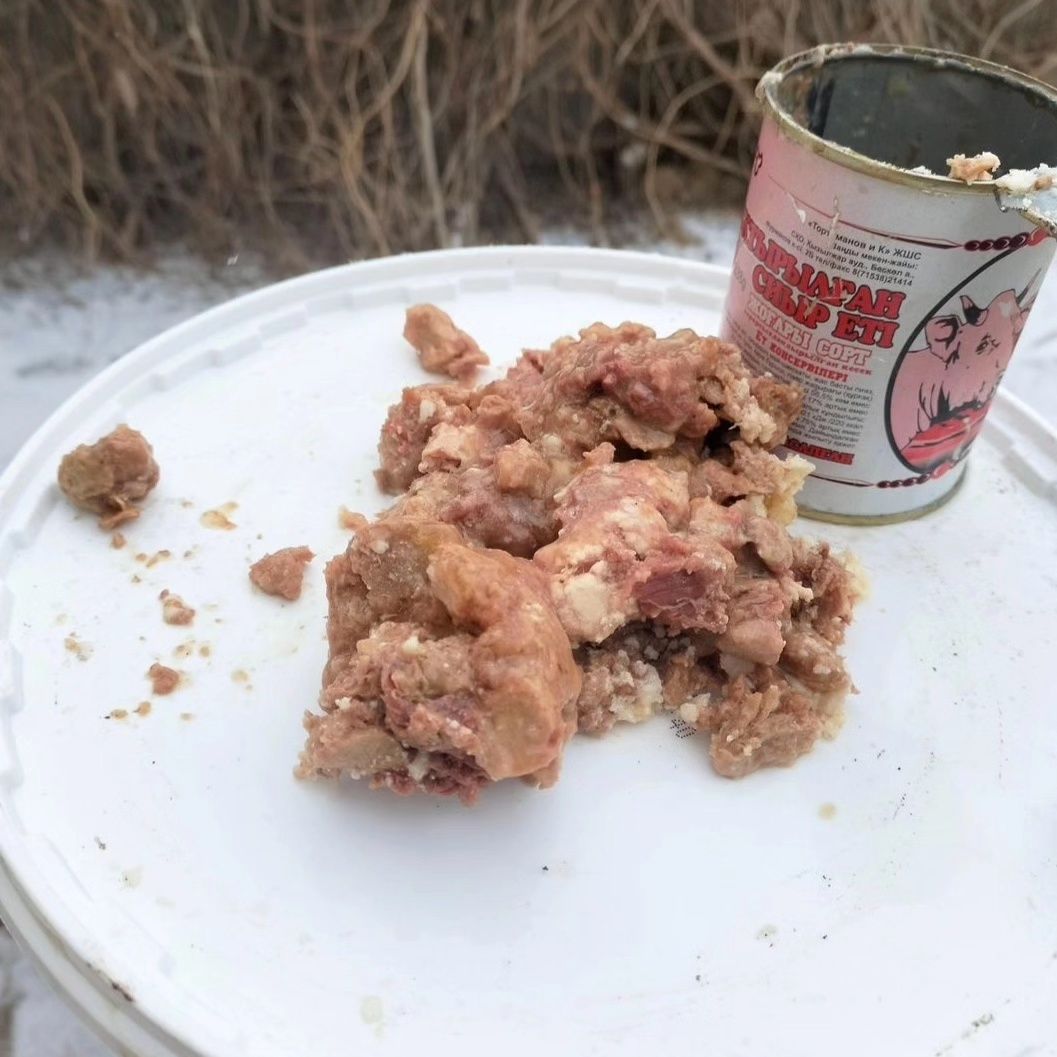 Корм для собак куринный фарш