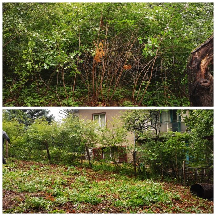 Почистване на дворове