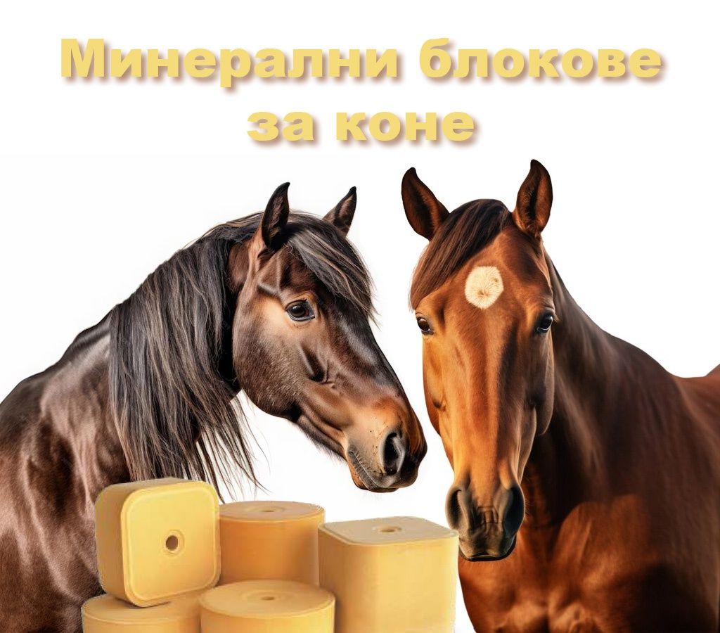 Минерални блокчета за преживни и коне