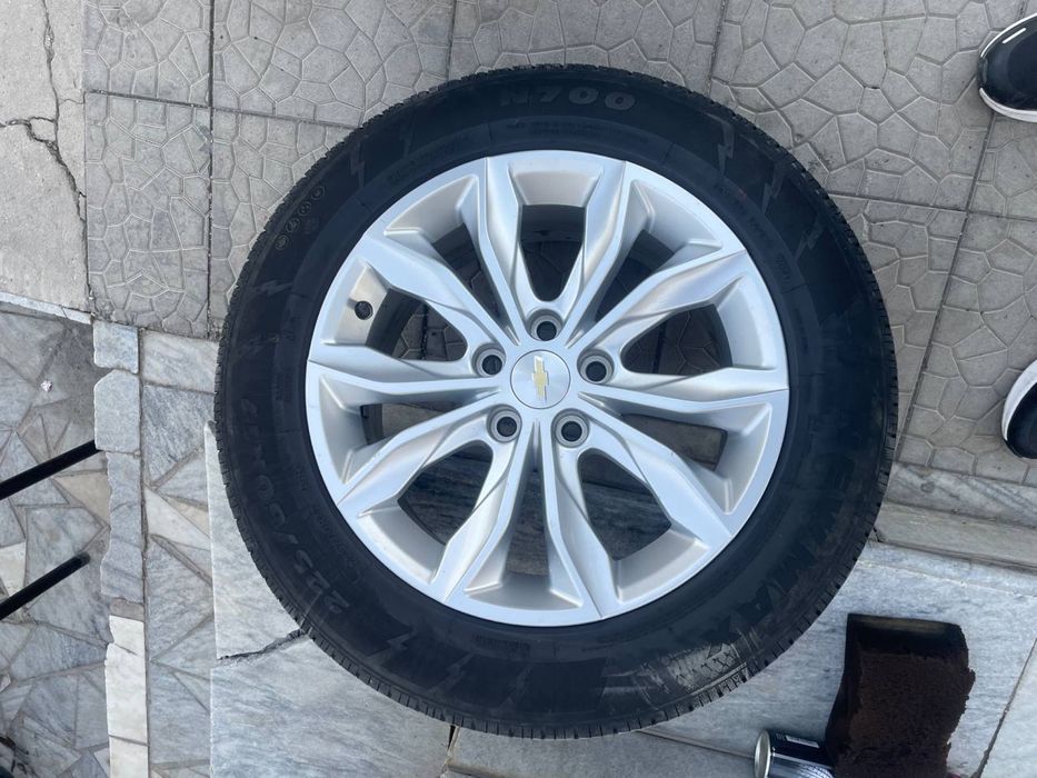 R17 Malibu Premer Arginal Gm