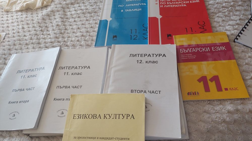 Помагала за ДЗИ БЕЛ