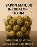 Inkubator Bedana Tuxum
