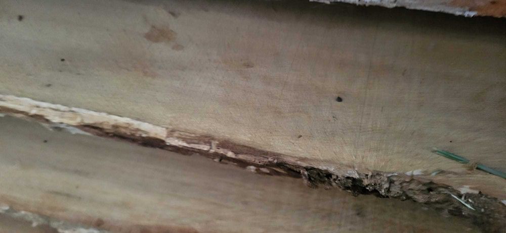 Cherestea de stejar si de cires uscata