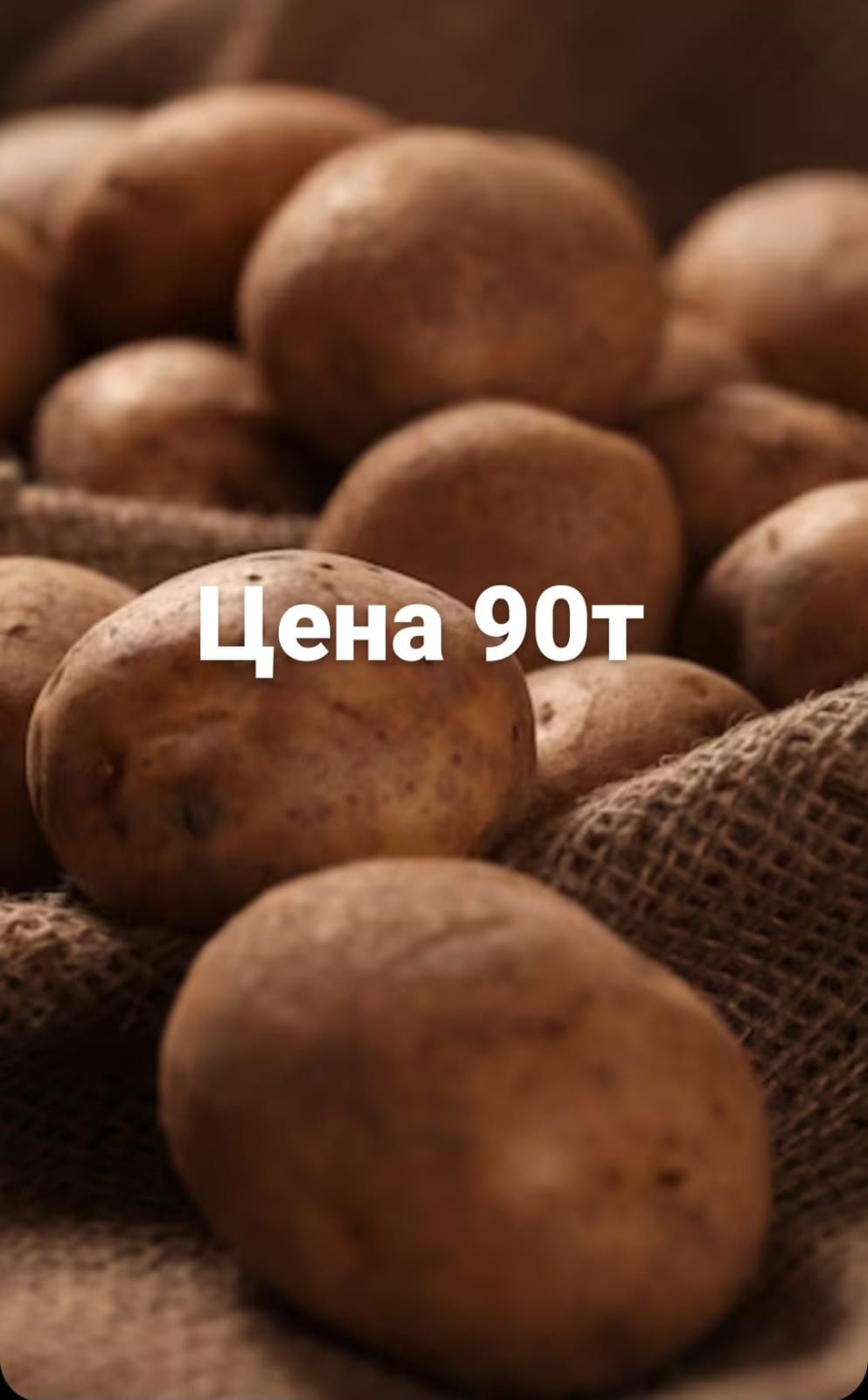 Картофель доставка 100-140