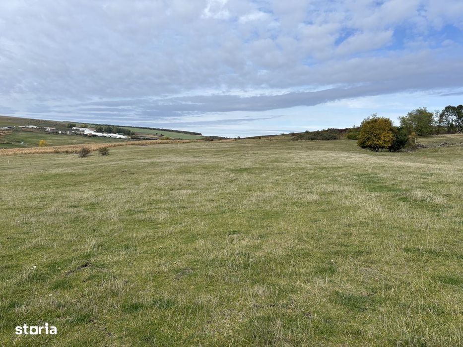 Teren Dealul Fanatelor