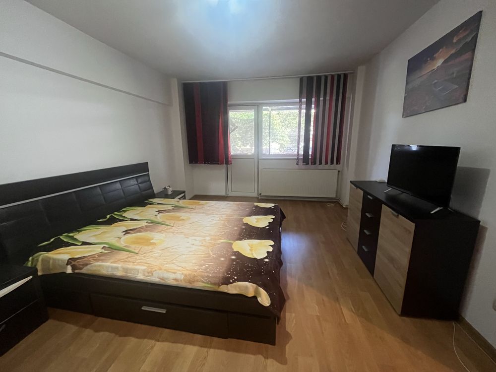Apartament 1cam cf1d Calea Calarasilor