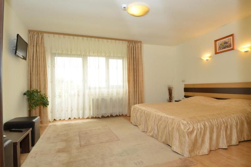 Pensiune 3 stele 12 camere 1 apartament Timisoara Timis