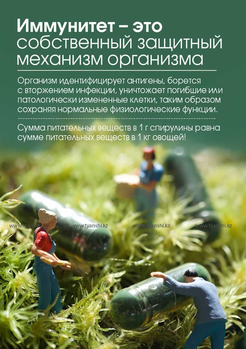 Спирулина в капсулах «Тяньши», проблемы с избыточным весом.