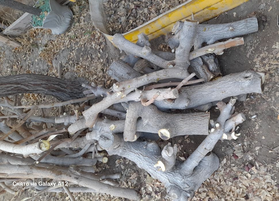 Продам дрова от тутовника.