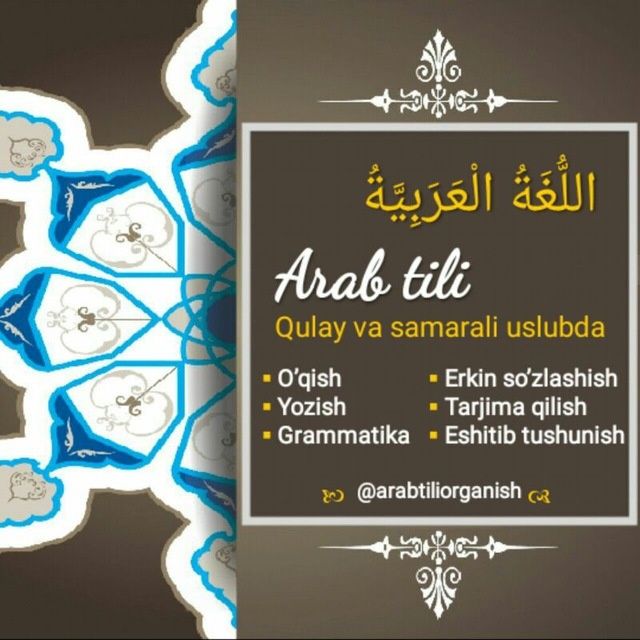 Arab tili kursss