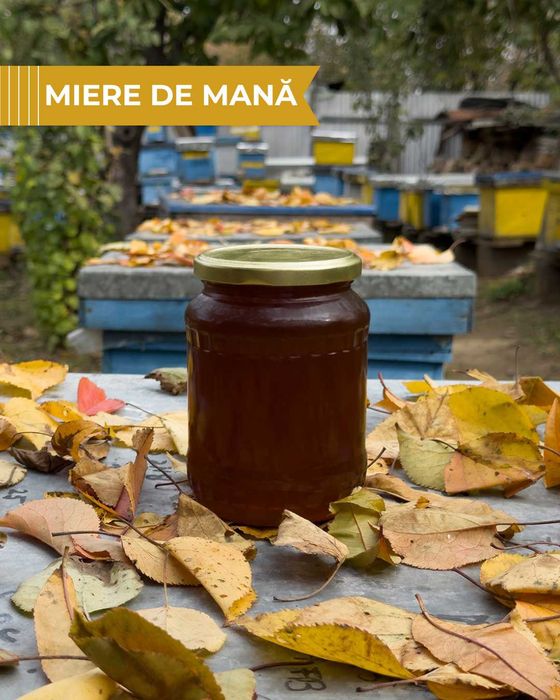 Vând miere 100% naturală producție 2025 - stupină proprie