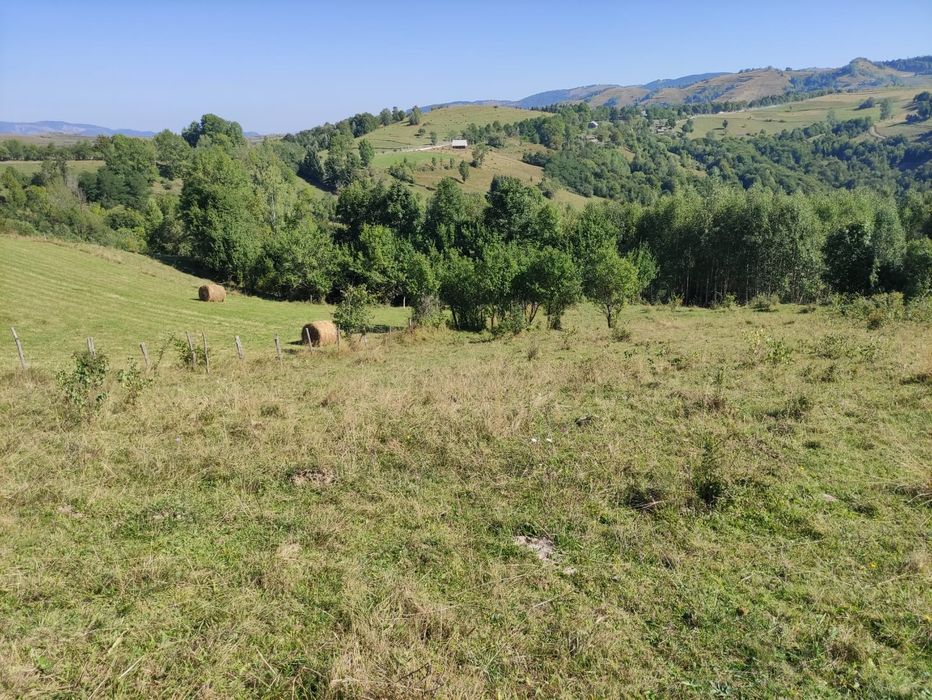 Se vinde teren în Ponor, județul Alba