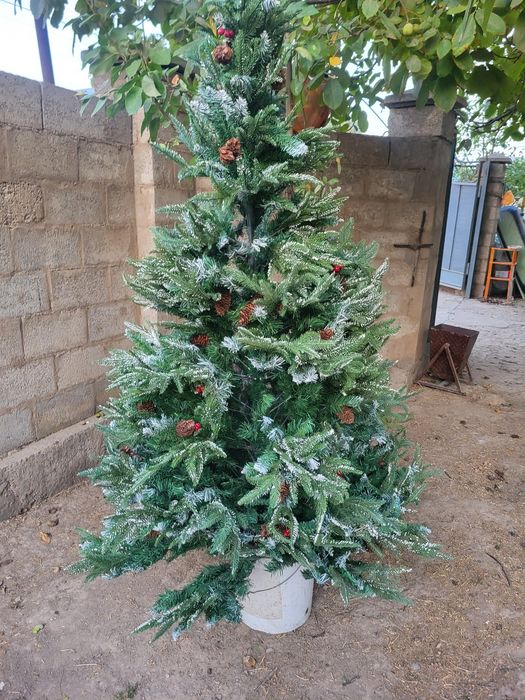 Ёлка сатылады. Б