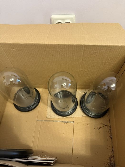 Kit intreg penteu arangamente cu trandafiri criogenati