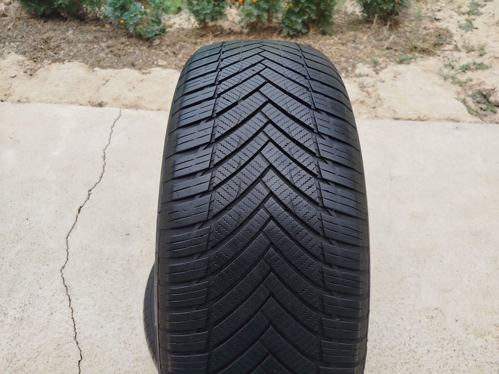 235 55 R19 Shina Imperial 1 dona