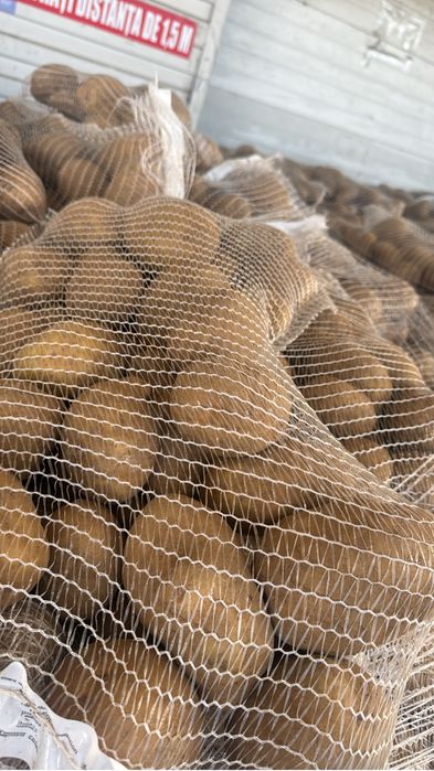 Cartofi origine Franta