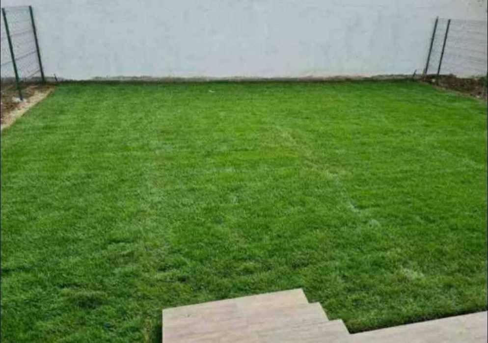 Vând Gazon la Rulou – Transport și Montaj Asigurat