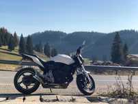 Honda Hornet 600 Alb