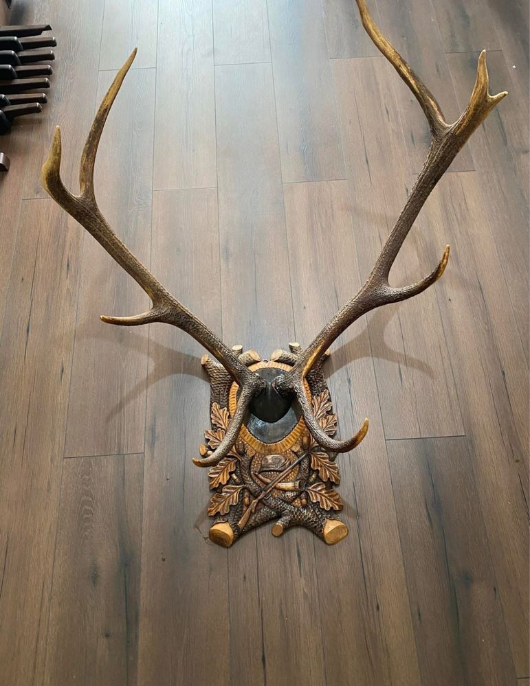 Troofeu și Candelabre din Coarne de cerb