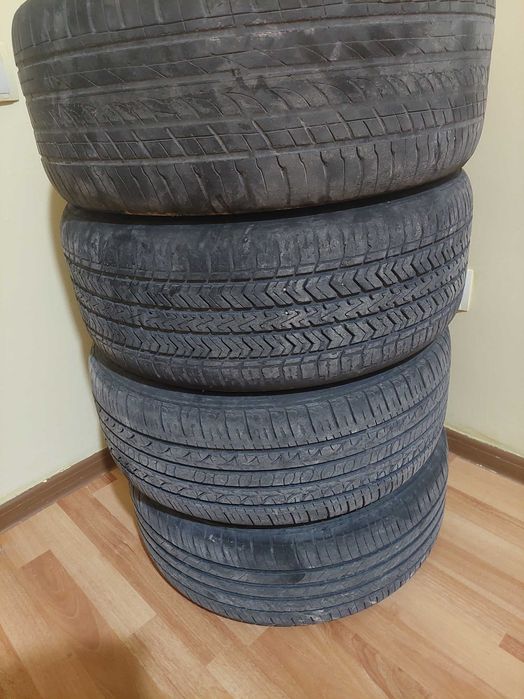 Vossen diska balon
