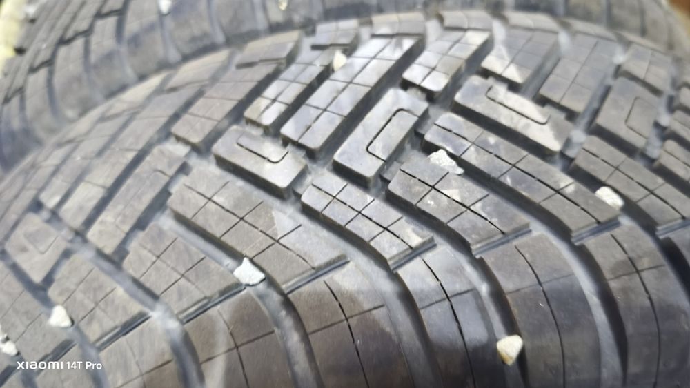 205.60r16 allseasson dor 2024