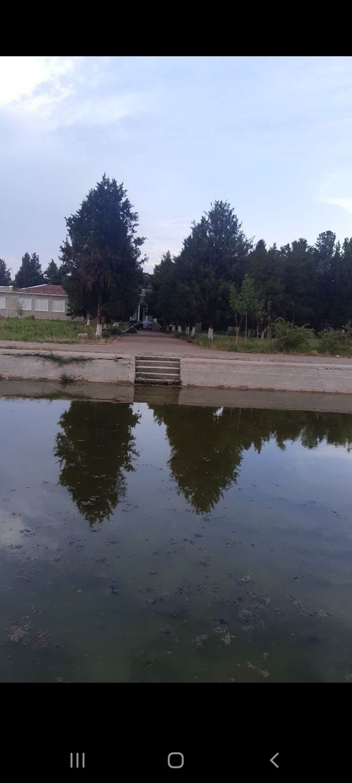 Сурум  4. 4 гектара