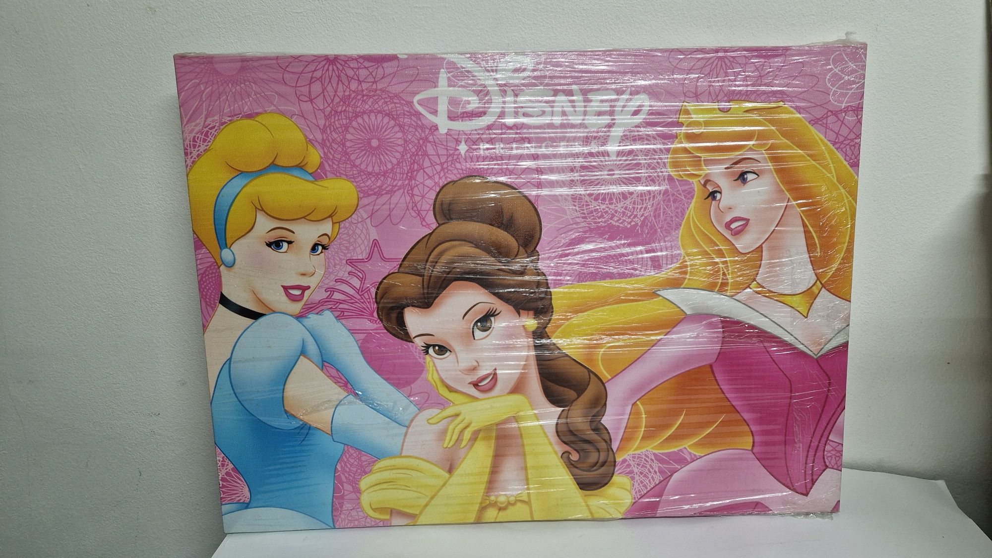 Картина канава с принцеси DISNEY