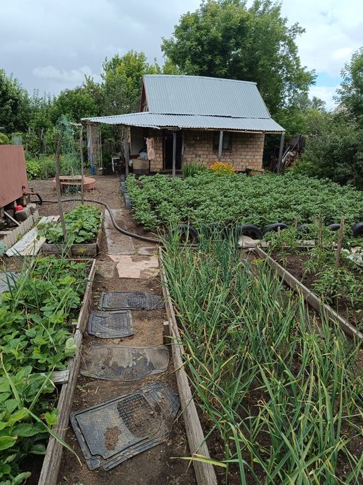 Дачный участок,сортировка