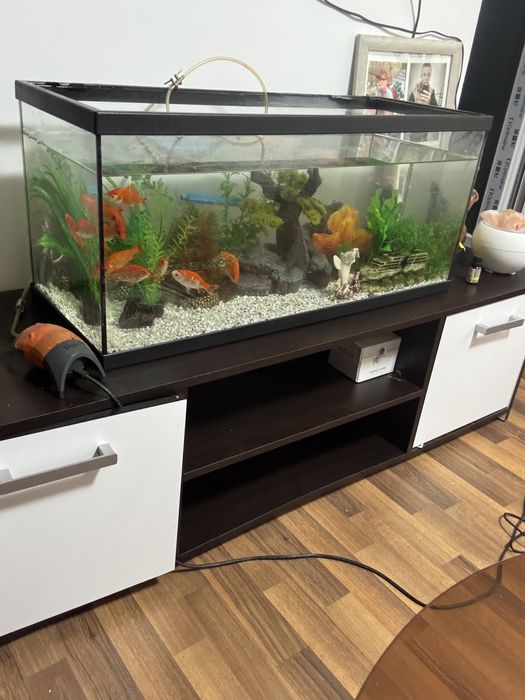 Vind acvariu cu pesti plus decoratiuni