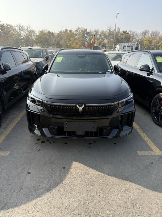 Voyah Free appola Tech 318 full